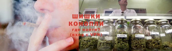 ПСИЛОЦИБИНОВЫЕ ГРИБЫ Алзамай