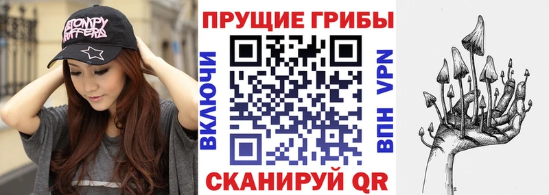 Галлюциногенные грибы Cubensis  Звенигово 